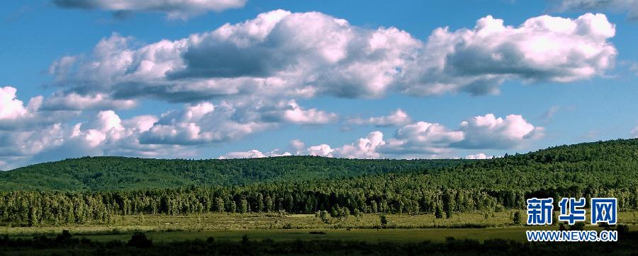 植樹造林，我們一直在行動