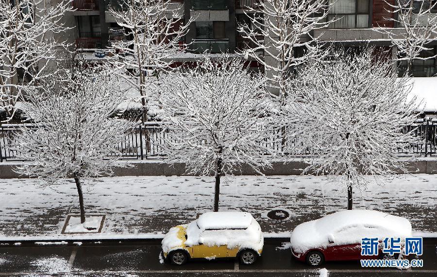 京城降雪迎春分 銀裝素裹如童話世界