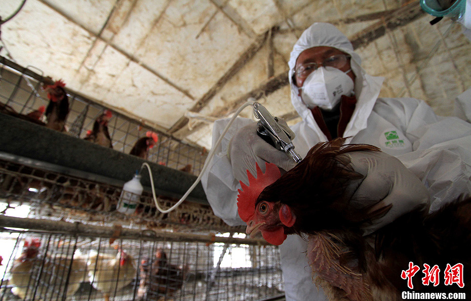 安徽舉行人感染H7N9禽流感應急演練