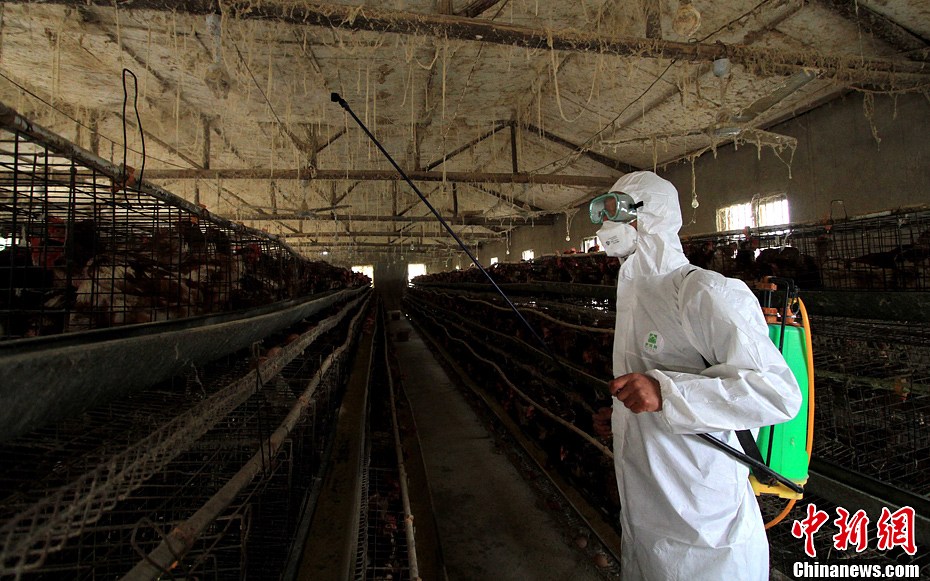 安徽舉行人感染H7N9禽流感應急演練