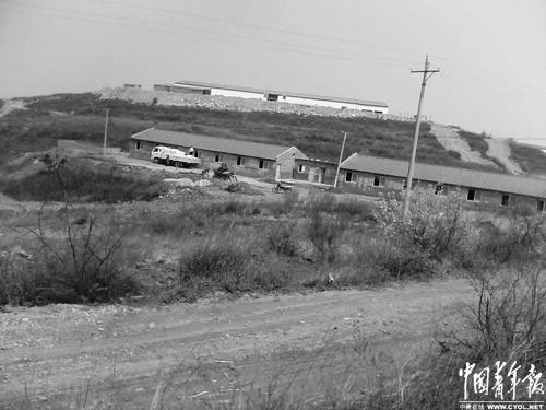 養豬企業自稱承載“不便公開的國家利益”之任務