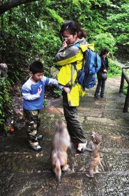 張家界景區宣布對全球19歲以下中小學生免門票