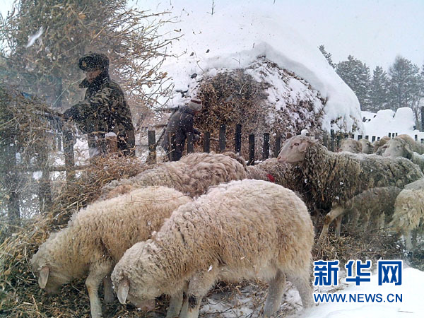 黑龍江漠河遭遇罕見暴雪 24小時內降雪量達20毫米