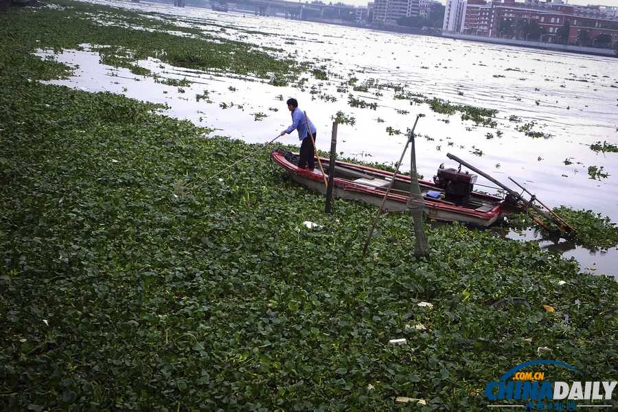 中國日報一周圖片精選:5月6日-10日