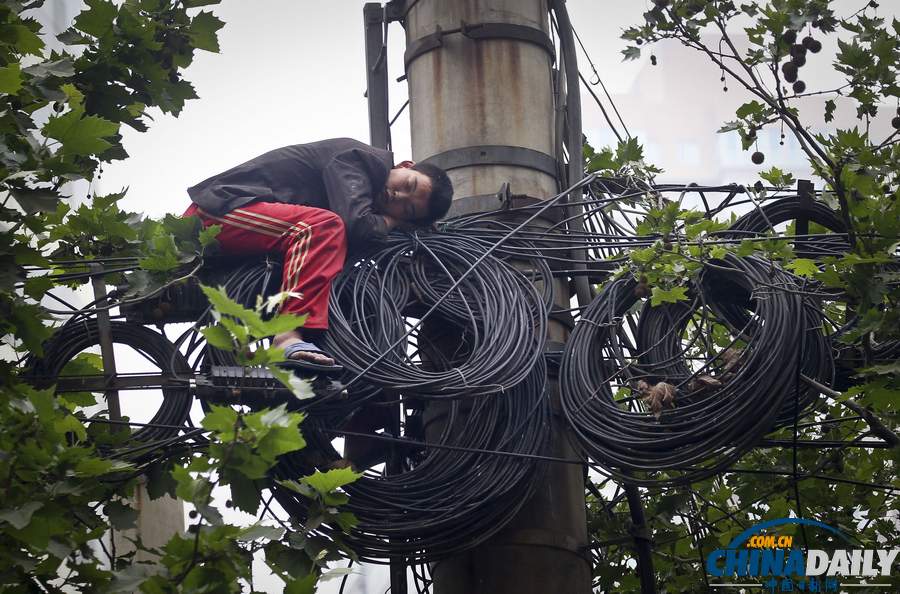 中國日報一周圖片精選:5月6日-10日