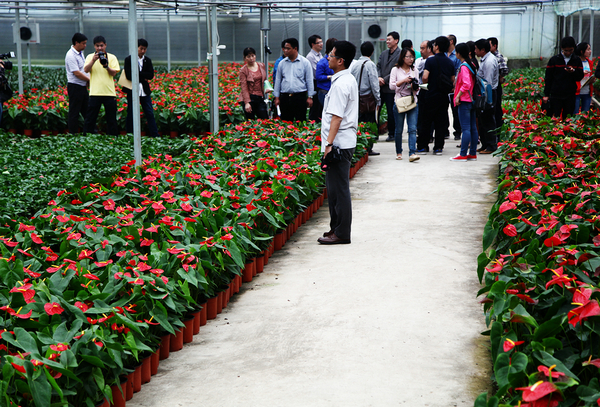 全國網絡媒體濟源行圖片紀實