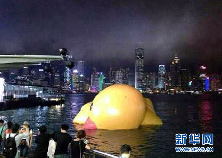 “小黃鴨”掛了 網(wǎng)友笑稱“禽流感太強大了”