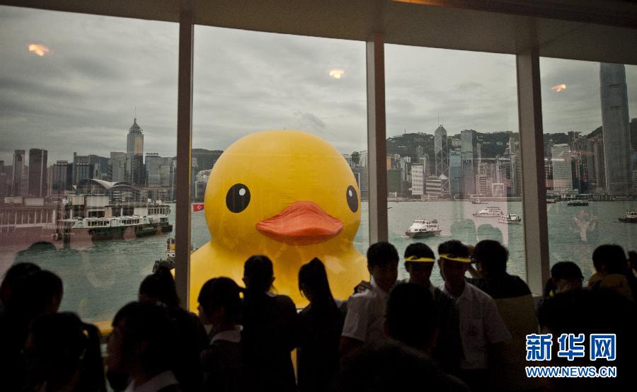 “小黃鴨”掛了 網友笑稱“禽流感太強大了”