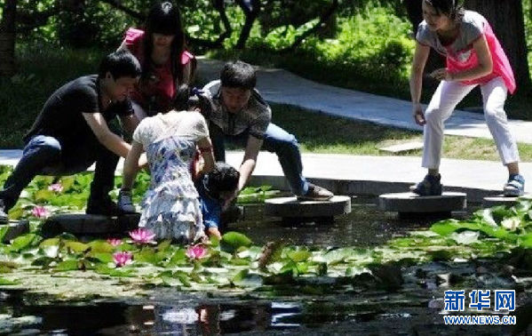 網(wǎng)友拍下女大學(xué)生跳水救人全程