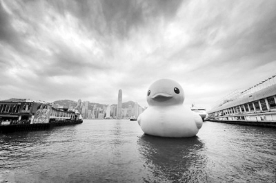 “大黃鴨”之父：我也沒想到會(huì)這么火