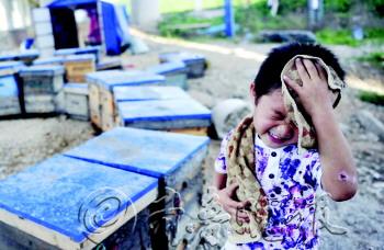 留守娃的甜蜜暑假(組圖)