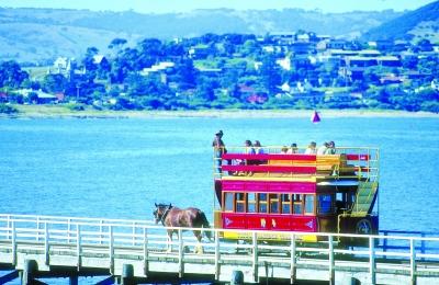 國人四大旅游陋習:“噪音”無處不在 愛順手牽羊