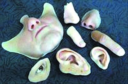 男子用豬皮自制面具 網上學“易容術”盜竊