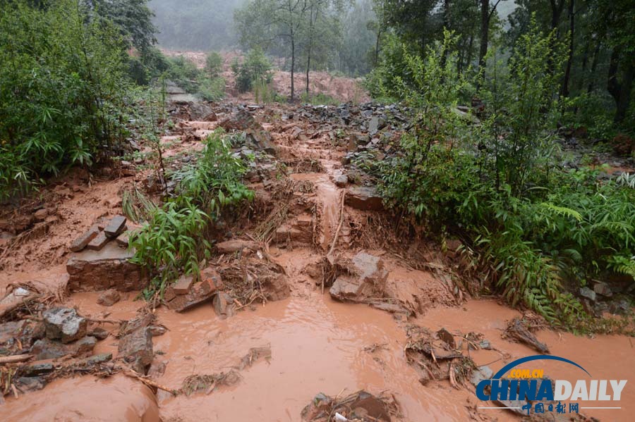 暴雨來襲——多地遭遇暴雨洪澇災害