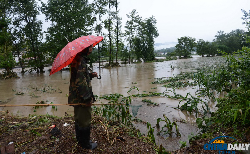 暴雨來襲——多地遭遇暴雨洪澇災(zāi)害