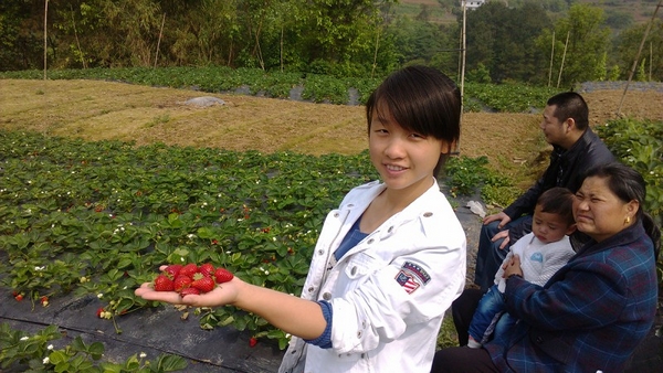 大二女生被脫落外墻磚砸傷 至今昏迷母親痛哭