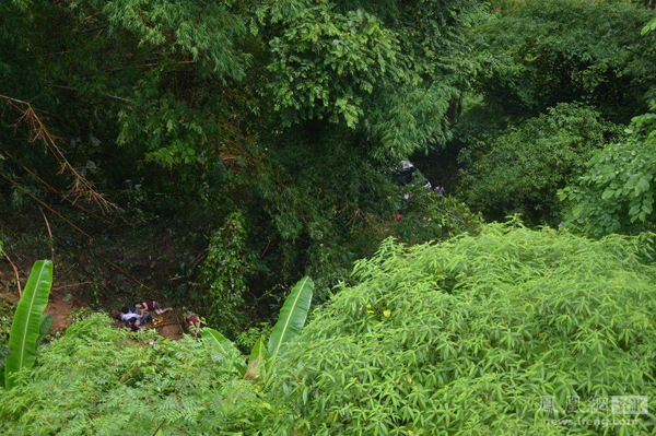 云南西雙版納1輛旅游大巴墜下山谷 已致8死