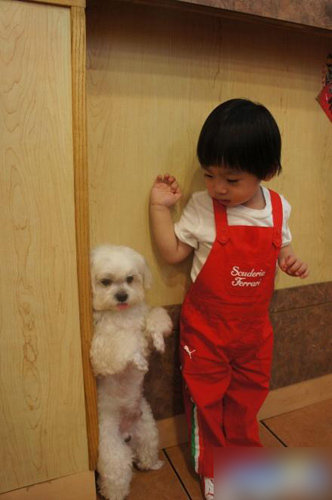 林志穎首曝婚紗照曬婚戒妻子陳若儀未出鏡