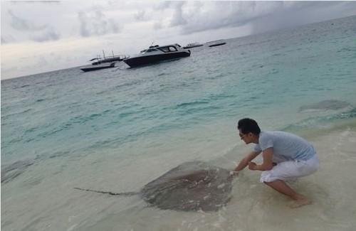 林志穎首曝婚紗照曬婚戒妻子陳若儀未出鏡