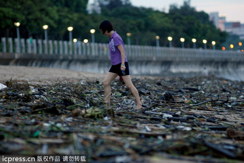 大批垃圾借臺風(fēng)蘇力“入侵”廈門 海灘變“垃圾場”