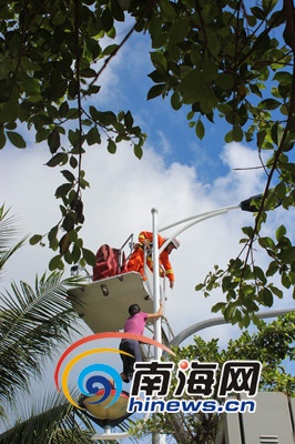 組圖:女子爬上三亞灣9米高電線桿 騰跳自如拒救助
