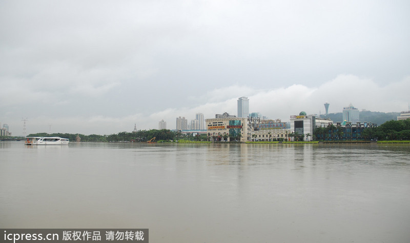 臺(tái)風(fēng)西馬侖登陸 廈門一夜間變澤國