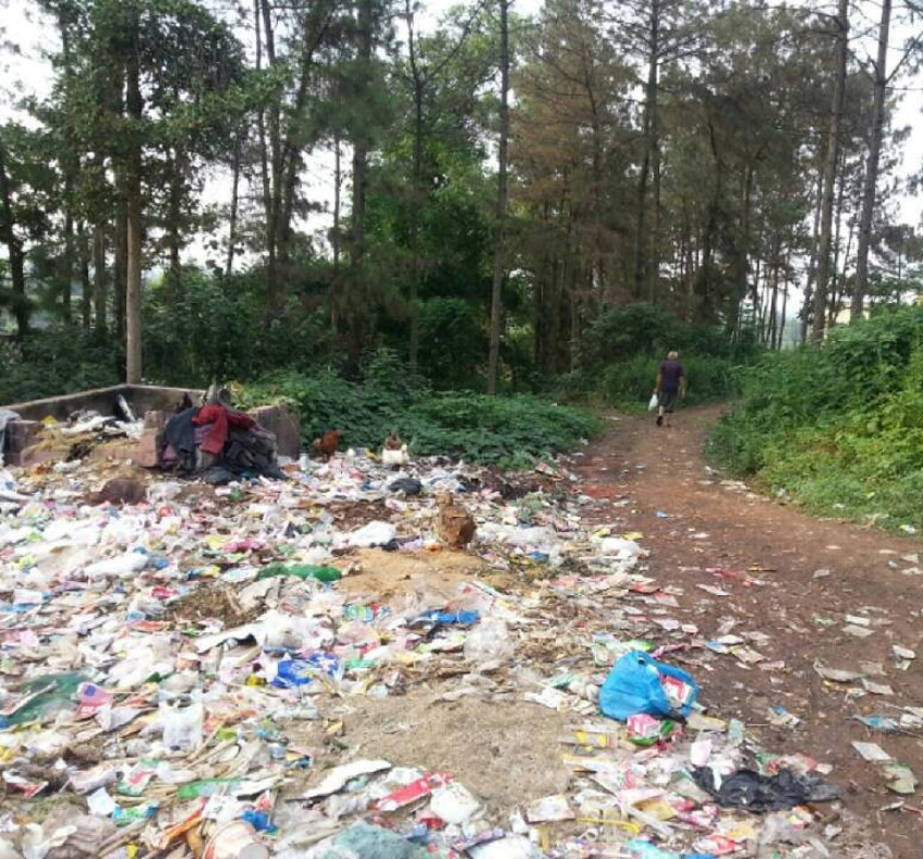 高清：網(wǎng)曝四川一森林公園成垃圾山 滋生大量蒼蠅