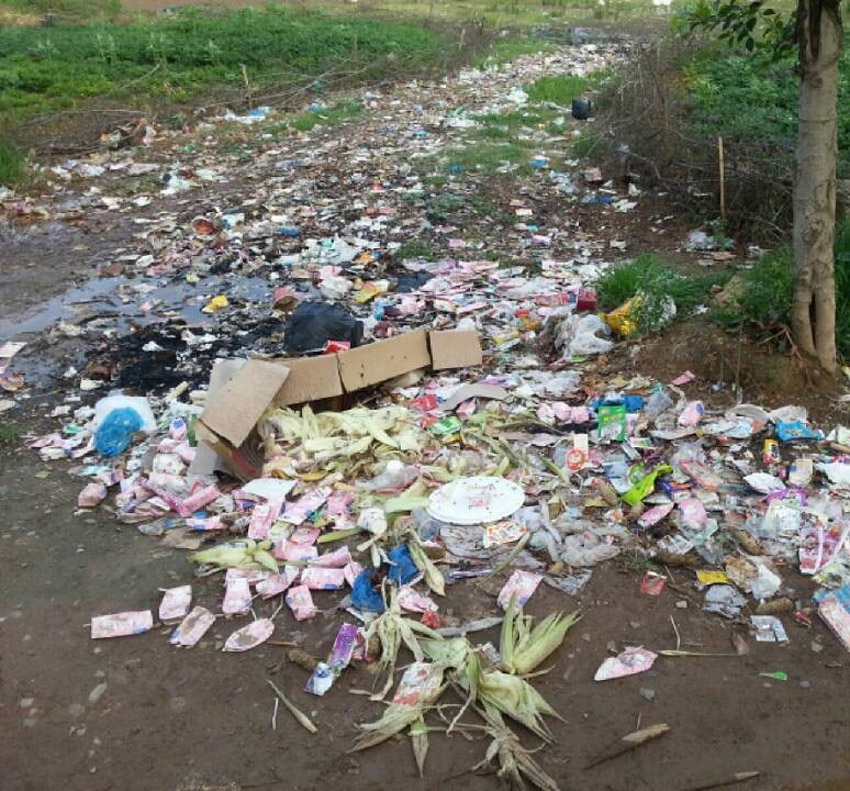 高清：網曝四川一森林公園成垃圾山 滋生大量蒼蠅