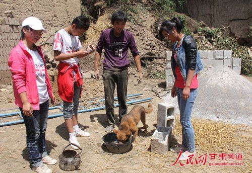 甘肅地震“狗堅強”：小黃狗被埋31小時獲救