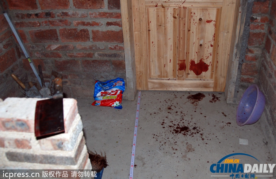 12歲網游男童突然砍殺表妹后跳樓稱似做夢