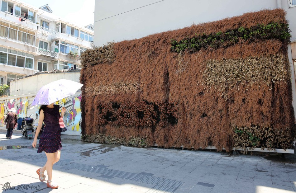 40.4℃高溫破紀錄 杭州市民全副武裝眾生相