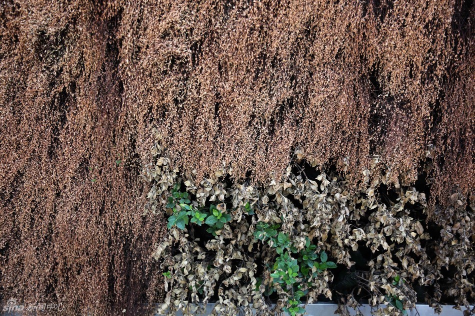 40.4℃高溫破紀錄 杭州市民全副武裝眾生相