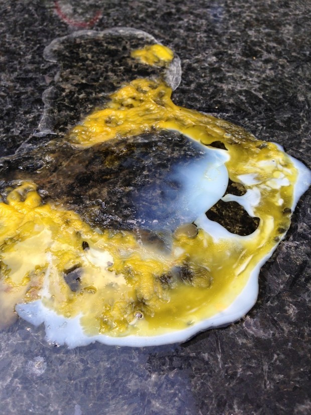 40.4℃高溫破紀(jì)錄 杭州市民全副武裝眾生相