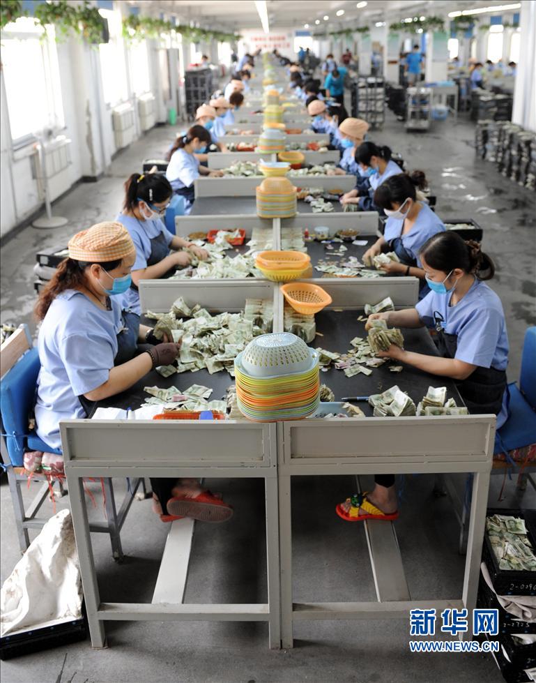 探訪鄭州公交點鈔流水線：數錢數到手抽筋