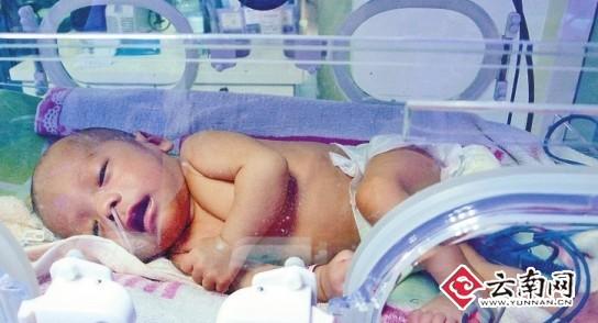 男嬰出生20余天被遺棄花壇 心跳生命體征平穩(圖)