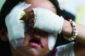 農業部官員:中國將不允許私人繁殖狗進行買賣