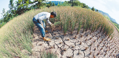 高溫難退，“烤”驗持續(熱點解讀)