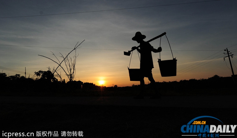 湖南旱情蔓延：引水澆灌農(nóng)田自救 定點定時供水解旱農(nóng)之渴