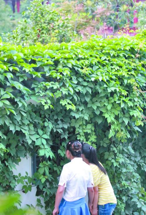 鄭州一公園每天只開4小時(shí) 閉園后變高檔餐館（圖）