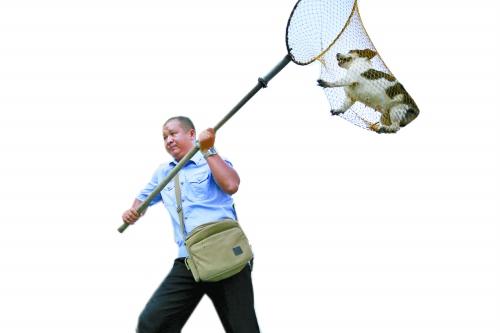 洛陽搞集中執法狗患卻加重 市民不滿犬主有怨言