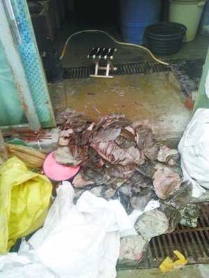 廁所旁邊曬毛肚 加工店老板笑稱(chēng)每天賣(mài)出上百斤