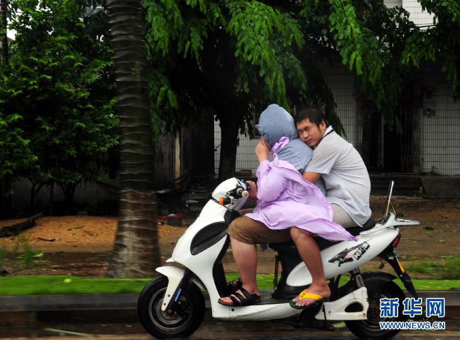 強熱帶風(fēng)暴“飛燕”登陸海南 街邊大樹被連根拔起