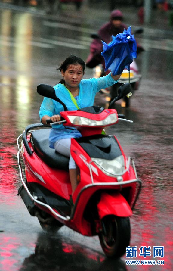 強熱帶風暴“飛燕”登陸海南 街邊大樹被連根拔起