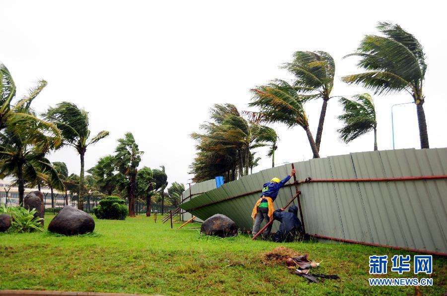 強熱帶風暴“飛燕”登陸海南 街邊大樹被連根拔起