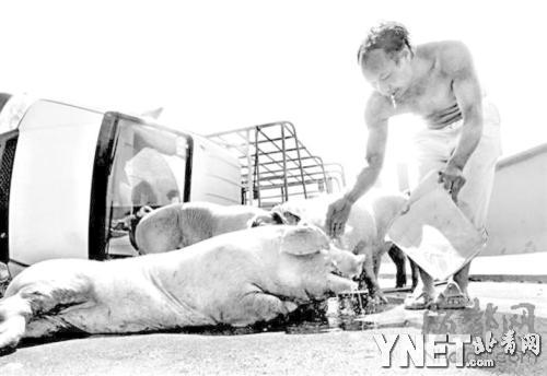 7省市氣溫集體沖40℃ “帶薪高溫假”看上去很美