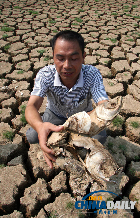 村支書放干自家承包水庫(kù)救活鄉(xiāng)親禾苗 3萬(wàn)斤魚無(wú)水曬成魚干