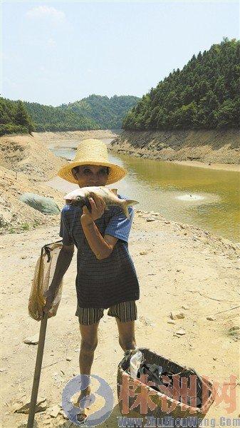 湖南龍潭水庫干涸大面積死魚 8百村民開車搶魚