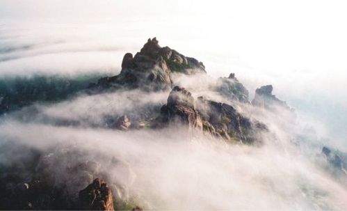 收費鳳凰不如雞 網友評國內十大最坑爹景點