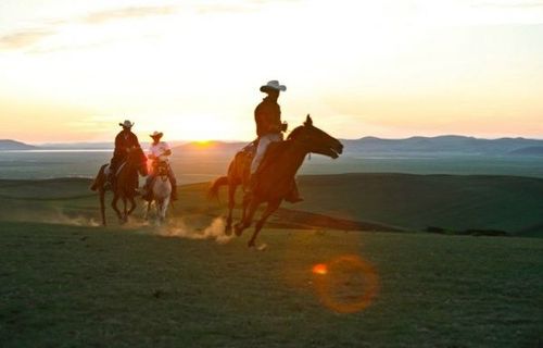 收費(fèi)鳳凰不如雞 網(wǎng)友評國內(nèi)十大最坑爹景點