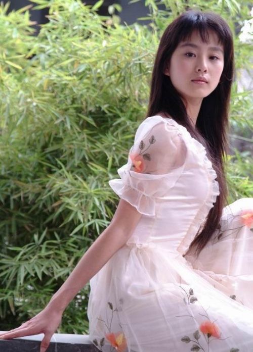 楊冪劉亦菲劉詩詩唐嫣新代女星身價排名（圖）